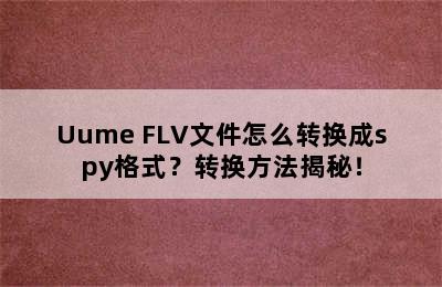 Uume FLV文件怎么转换成spy格式？转换方法揭秘！